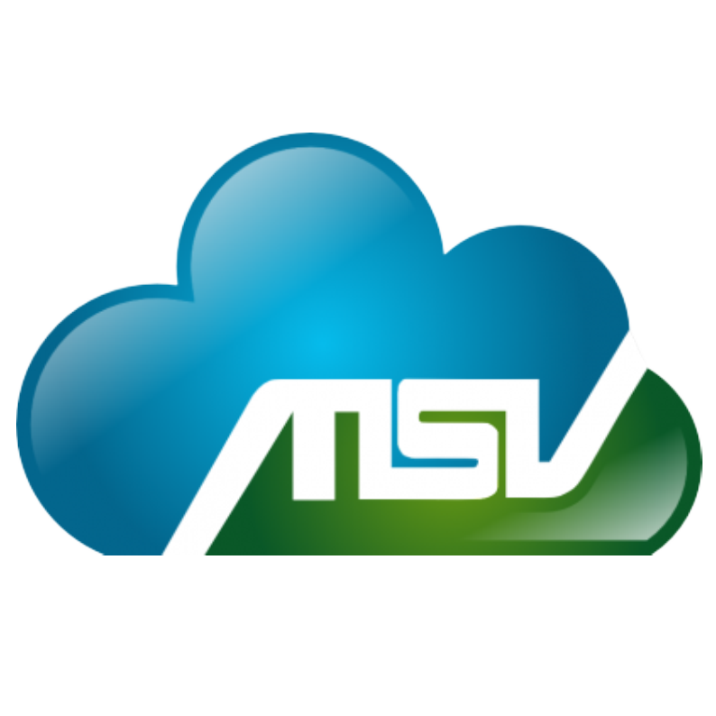 MSV